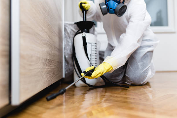 Best Rat Extermination Near Me  in Fleetwood, PA