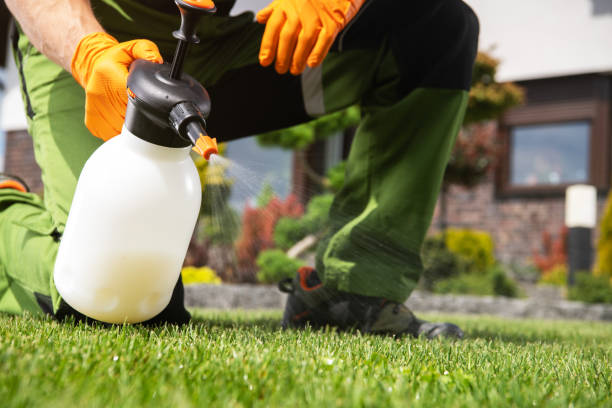 Best Pest Control Near Me in Fleetwood, PA