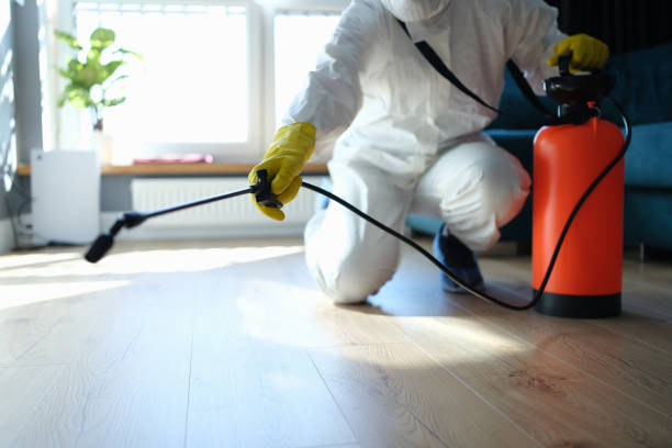 Best Wasp Removal Services  in Fleetwood, PA