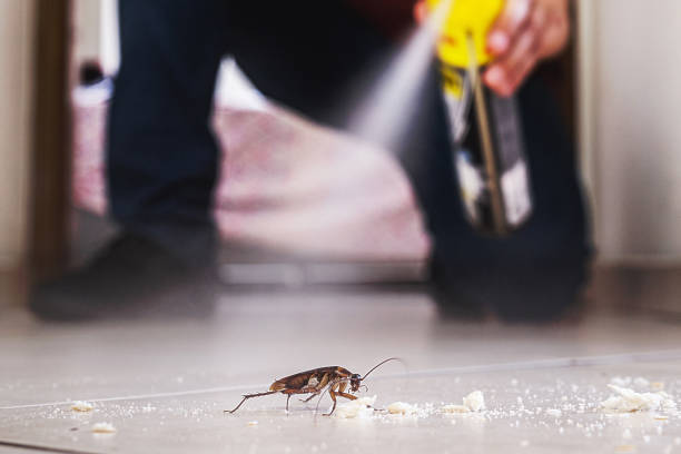 Best Mosquito Control Services  in Fleetwood, PA