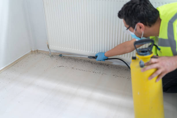 Best Commercial Pest Control Services  in Fleetwood, PA