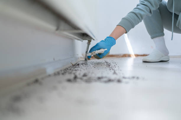 Best Termite Control Services  in Fleetwood, PA